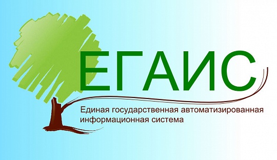 Лес ЕГАИС. Что это такое?
